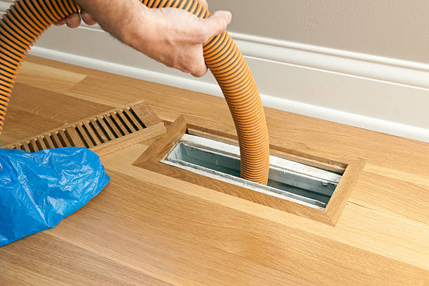 Best Local Air Duct Cleaning Services  in Gautier, MS