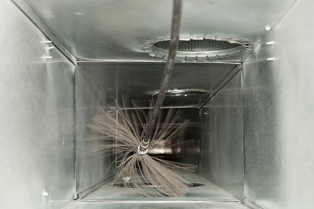 Air Duct Mold Removal in MS