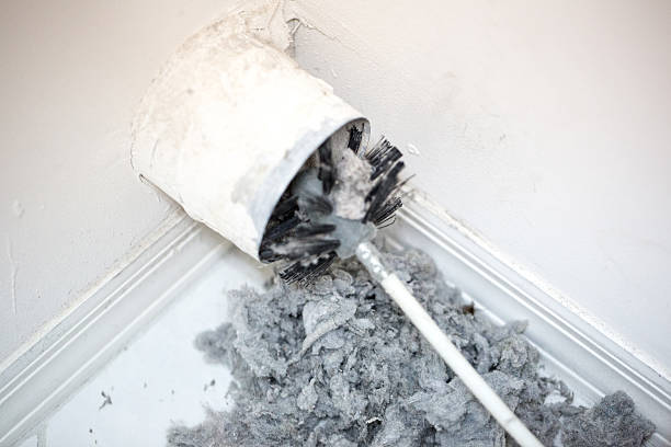 Best Air Vent Cleaning Services  in Gautier, MS